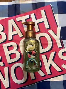 Bath & Body Works Schaumseife Raspberry Green Tea - Bild 1 von 2