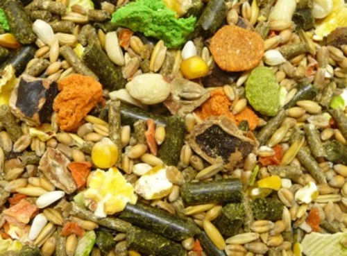 Witte Molen Meerschweinchenfutter 20kg mit + Vitamin +C speziell für Meerschwein