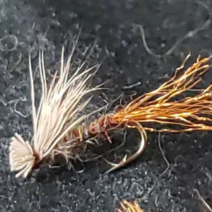 FLY FISHING FLIES X CADDIS TAN # 20 CUSTOM TIED FRONTIER FLY COMPANY - Picture 1 of 3