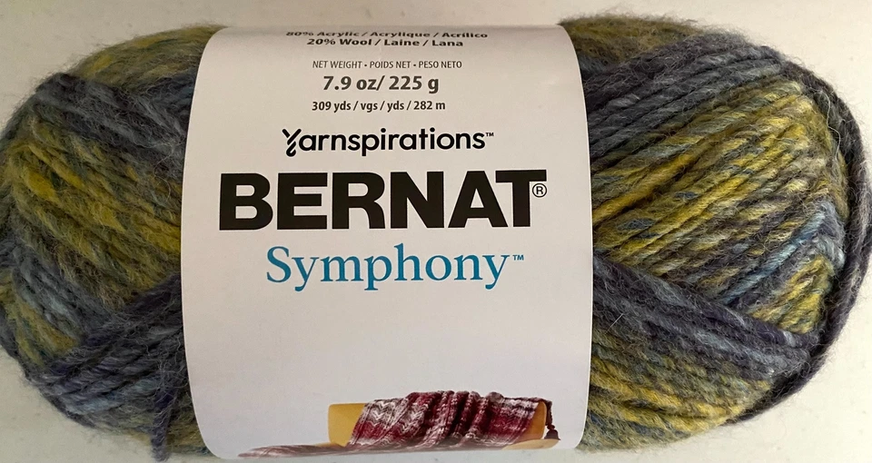 Bernat SYMPHONY #5 Bulky Chunky Acrylic Wool Skein Variegated Yarn  309 yards - Image 1 of 1
