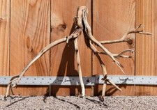 MANZANITA DRIFTWOOD #3106 Aquarium décor centerpiece WYSIWYG