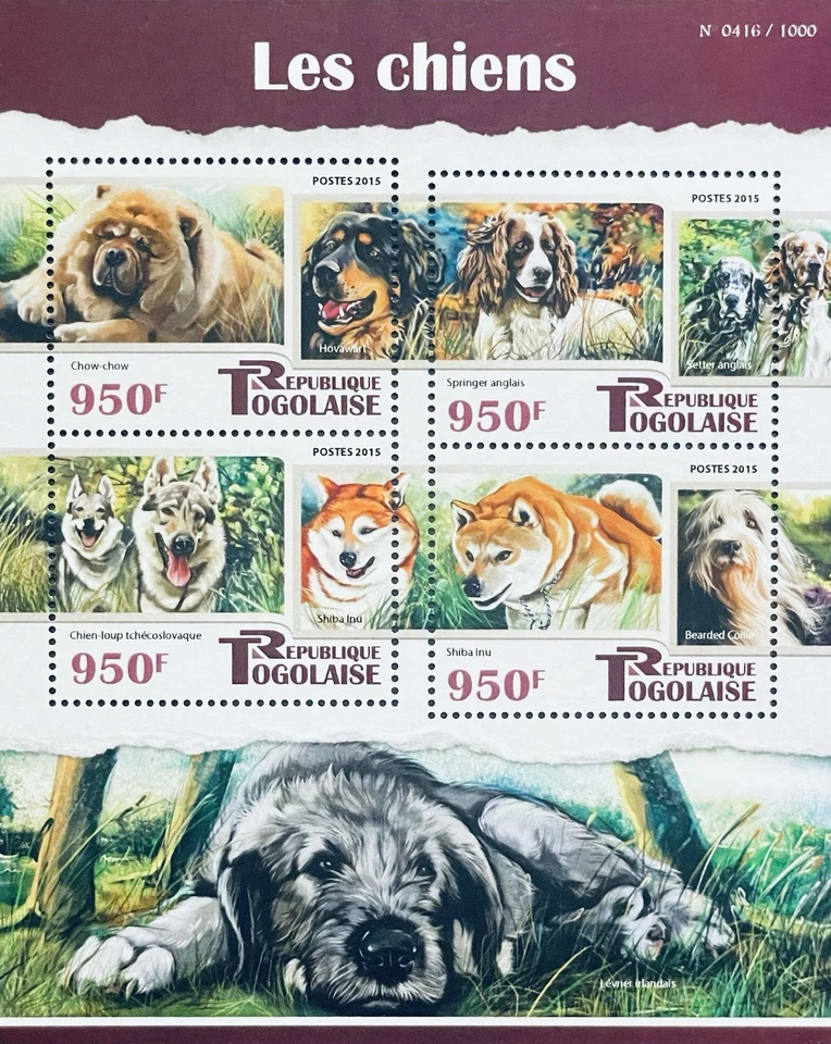 TOGO DOGS STAMPS 2015 MNH ANIMALS WOLF DOG SPANIEL SETTER BEARDED COLLIE PET - Image 1 of 1