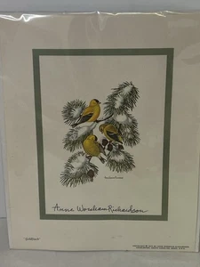 Anne Worsham Richardson Druck Gelbgoldfinken RAR ungerahmt - Bild 1 von 9