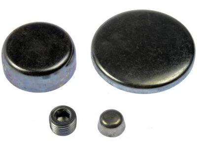 Kit de tapones de expansión Dorman 53555CP 1981 1982 1982 para Ford F250 1977-1978, 1980-1996 Foto 1 de 2