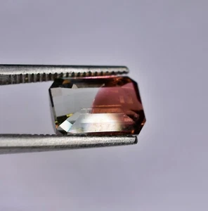 Tourmalin bicolore Melon D’eau 4.05ct (IF) red/blue tourmalin FMG Gemstones - Picture 1 of 12