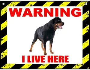 Warning I Live Here - Rottweiler - Dog - Metal Sign For Indoor or Outdoor - Picture 1 of 1