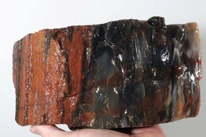 Arizona Rainbow Petrified Fossil Wood lapidary 7 lb. 7 oz. rough - Picture 1 of 16