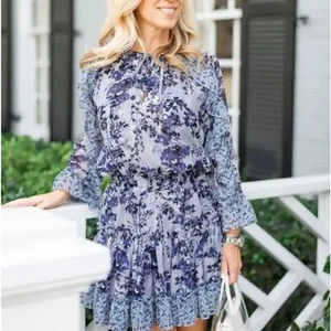Misa Los Angeles Eliza Dress Small Blue Floral Sheer Ruffle Boho Mini Romantic - Picture 1 of 14