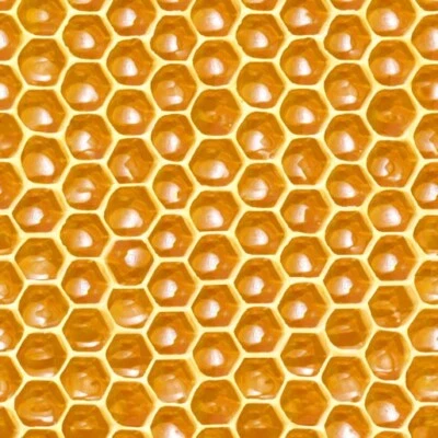 Fat Quarter - The Bees Knees: Honeycomb Cotton Fabric - Photo 1/2