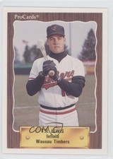 1990 ProCards Minor League TR Lewis #2133