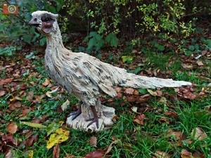 AMAZING PHEASANT SCULPTURE, INDOOR OR OUT, LIFE SIZE. WOOD LOOK, VIVID ARTS - Picture 1 of 9