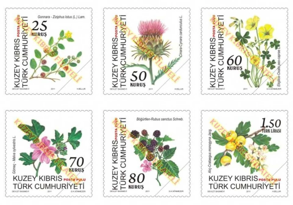 Chipre Turco 2011 Ziziphus salvaje, Rubus, Crataegus, Malva, Oxalis Flora, MNH Foto 1 de 1