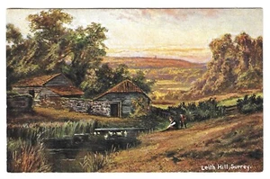 SURREY - LEITH HILL near GUILDFORD 1907 Hildesheimer "Surrey Views" Postcard - Picture 1 of 1