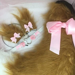 Maßgeschneidertes Cosplay Kätzchen Braun Fuchs Katze Haustier Spielen Schwanz Ohren Halsband - Bild 1 von 1