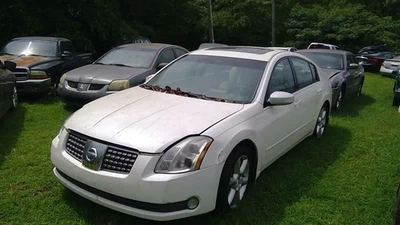 Regulador ventana trasera derecha pasajero compatible 04-08 MAXIMA 207619 Foto 1 de 4