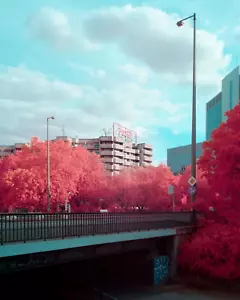 IRChrome Aerochrome IR Infrared Chrome Fuji Fujifilm X mount APSC drop in style - Picture 1 of 11