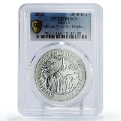 Zambia 5000 kwacha African Wildlife Elephants Fauna MS69 PCGS silver coin 2003 - Image 1 of 2