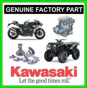 Kawasaki OEM Speedometer Cable 54001-1132 - Picture 1 of 1