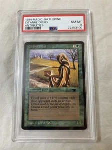 1994 Magic The Gathering Antiquities Citanul Druid PSA NM-MT 8 - Picture 1 of 6