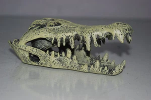 Aquarium oder Vivarium Detaildekoration Krokodilschädel 14x6x6 cm - Bild 1 von 9