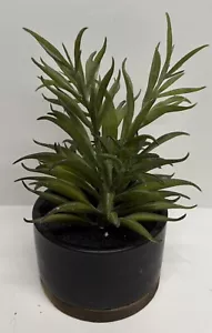Threshold Potted Faux Succulent Plant Indoor Plant Porch Decor - Picture 1 of 7
