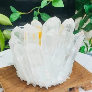 998g Cultivate Clear & Yellow Quartz Crystal Cluster Mineral Specimen Healin - Picture 1 of 12