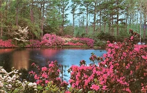 Bellingrath Gardens, Near Mobile, Alabama -- POSTAL - Imagen 1 de 2