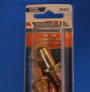 Door Hinge Pin and Bushing Kit Front,Rear Dorman 38437 - Bild 1 von 7