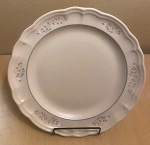 Un plato de cena de 10-3/8" en recuerdo de Pfaltzgraff EE. UU. sin diseño central - Imagen 1 de 10
