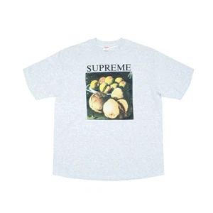 Supreme Still Life Tee Grey - Picture 1 of 1