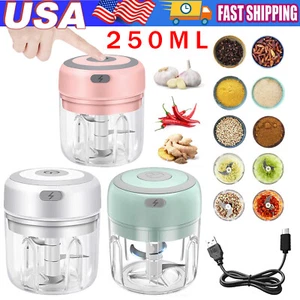 Electric 250ML Garlic Press Chopper Chili Onion Fruits Meat Mincer Blender Mixer - Picture 1 of 23