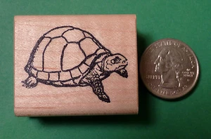 Estampilla de goma de tortuga en caja, montada en madera - Imagen 1 de 2