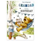 Grandad Birthday Card for Him Men Male - Teddy on the Hammock