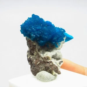 Cavansite on matrix  (non precious natural stone) # 4244 - Picture 1 of 6