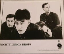 Mighty Lemon Drops Sire Records Music photo 8 x 10 Original Vintage pop rock