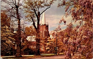 Postal Manning Carolina del Sur Dogwood Wisteria Primera Iglesia Presbiteriana D101 - Imagen 1 de 2