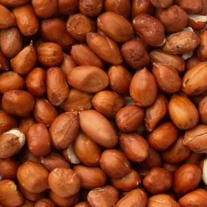 Raw Peanuts, Whole Organic Nuts - 10 Lbs Bag, Free Shipping - Picture 1 of 2