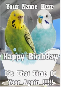 bd92 Budgie's Bath Time Fun Cute Birthday Card A5 Personalised Greeting - Picture 1 of 1