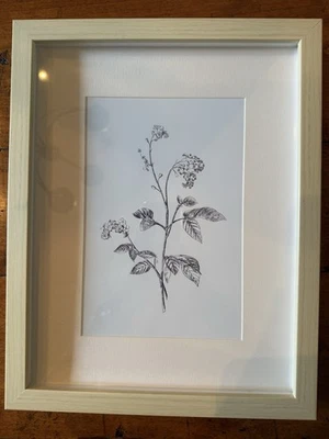 Arte de pared floral Threshold Studio Mcgee Blossom 11 X 14 Foto 1 de 4