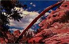 Postcard UT Natural Bridge Zion National Park Utah