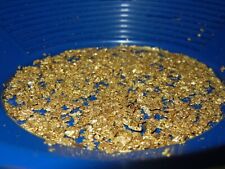 GOLD PAYDIRT UNSEARCHED CONCENTRATE 2+lbs CHUNKY PLACER NUGGETS PICKERS FLAKES