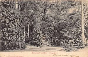 Singapur - Botanischer Garten - Publ. G. R. Lambert & Co. - Bild 1 von 2