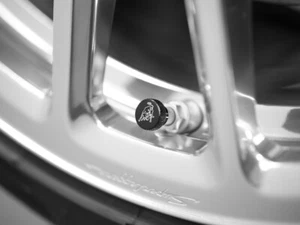VALVE CAPS WITH LOGO KIT - Photo 1/4