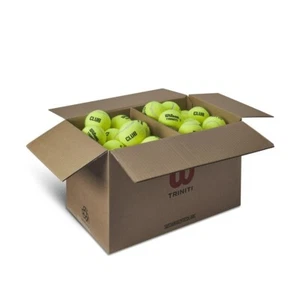 Wilson - WR8209201001 - TRINITI Schläger Tennisbälle - 72 Stück - USPTA LOGO - Bild 1 von 1
