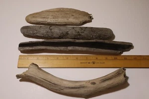 Natural Raw U.S. Beach Driftwood Lot of 4 Pieces - Crafts, Terrarium, Aquarium - Picture 1 of 5