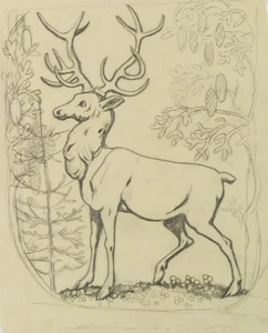 H. THOMA (1839-1924), Hirsch im Tannenwald, Bleistift Moderne Tiere 1900-1924 - Picture 1 of 5