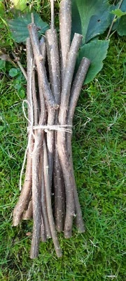 500 g Knabberholz Haselnuss Zweige, Äste Nager,Pferde, Bio Qualität Bastelholz - Bild 1 von 3