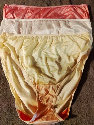 Size 12 vintage fruit of the loom 100% nylon Hi cut panties w/tags 3 Pack - Image 1 of 4