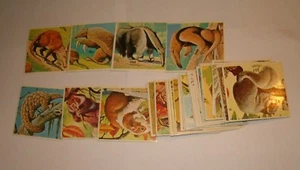 FIGURINE ALBUM ZOO FLASH IMPERIA ANNI 70 EDIS LAMPO NUOVE CON FUSTELLA NO RECUP - Foto 1 di 1