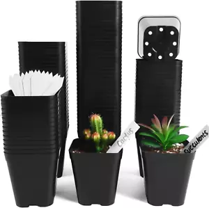 Small Seedling Pots 4 Inch, 100 Pcs Square Plant Pots Bulk, Plastic Nursery Pots - Picture 1 of 12